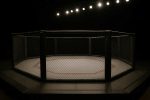 Empty MMA octagon cage under bright lights in an arena"