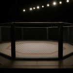 Empty MMA octagon cage under bright lights in an arena"