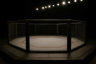 Empty MMA octagon cage under bright lights in an arena"