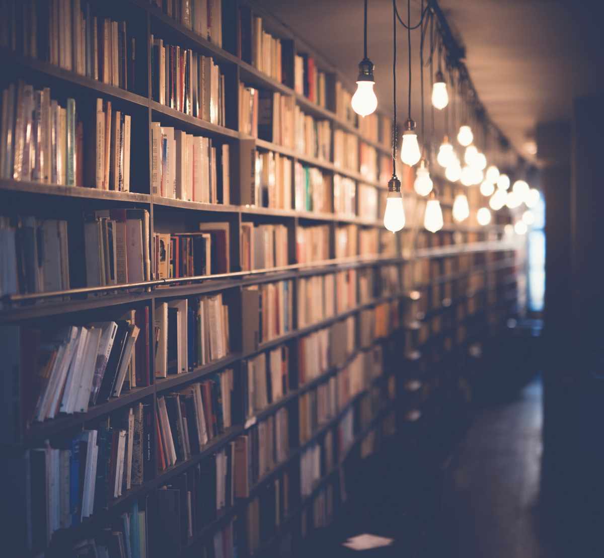 Rows of books on shelves in a library with hanging light bulbs.