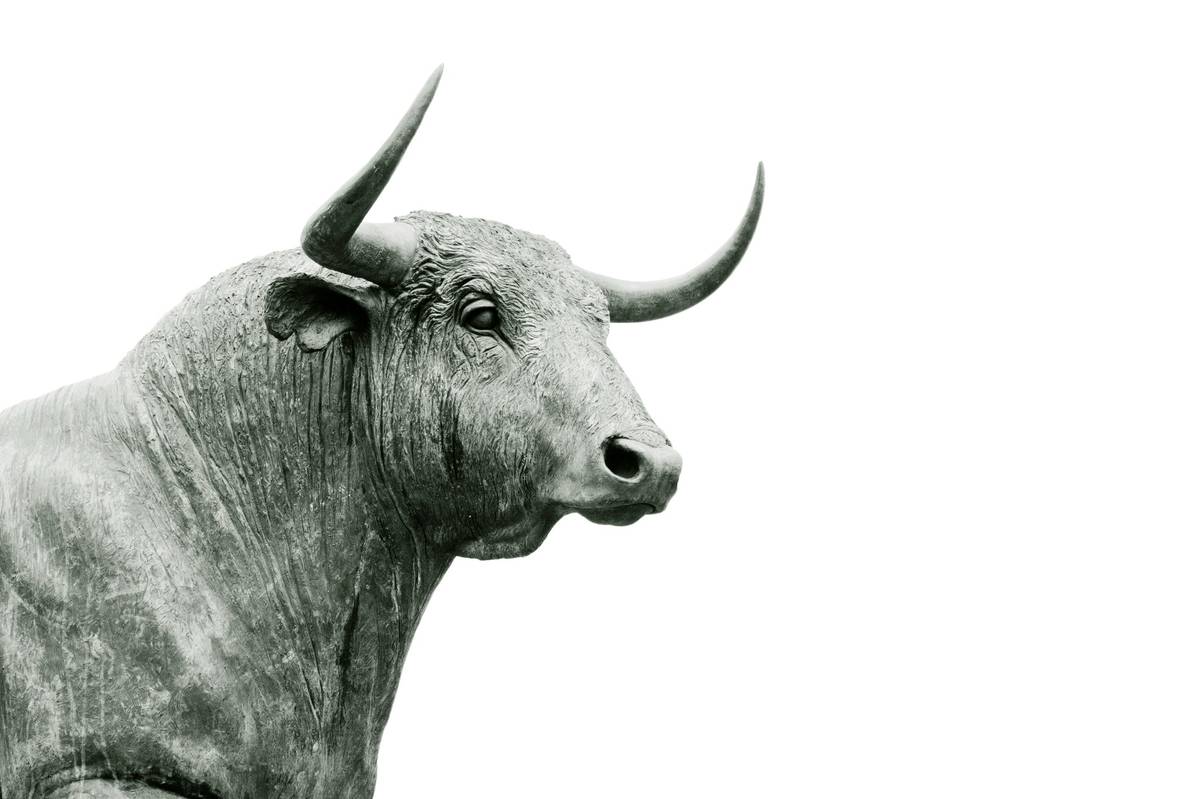 A bronze bull statue symbolizing financial strength and bullish market sentiment.