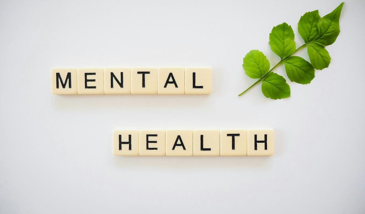 The word “Mental Health” spelled with Scrabble tiles placed neatly beside a green leaf on a white background.