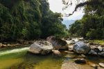 Scenic river flowing through a lush green forest with large rocks.