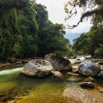 Scenic river flowing through a lush green forest with large rocks.